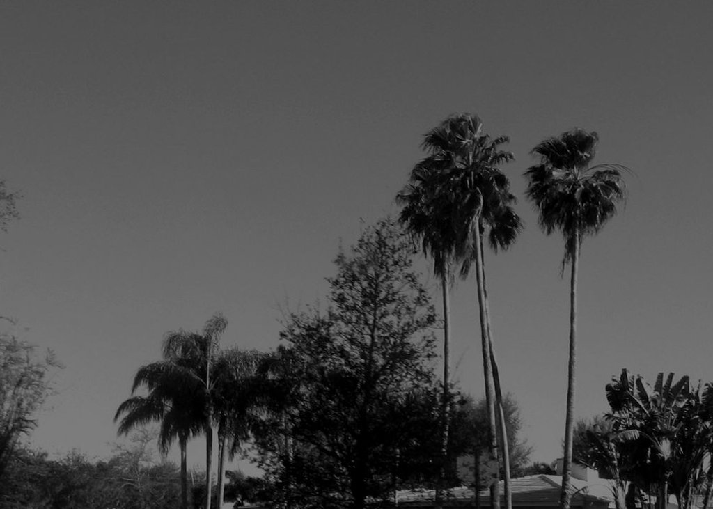 untitled(around c.g.)